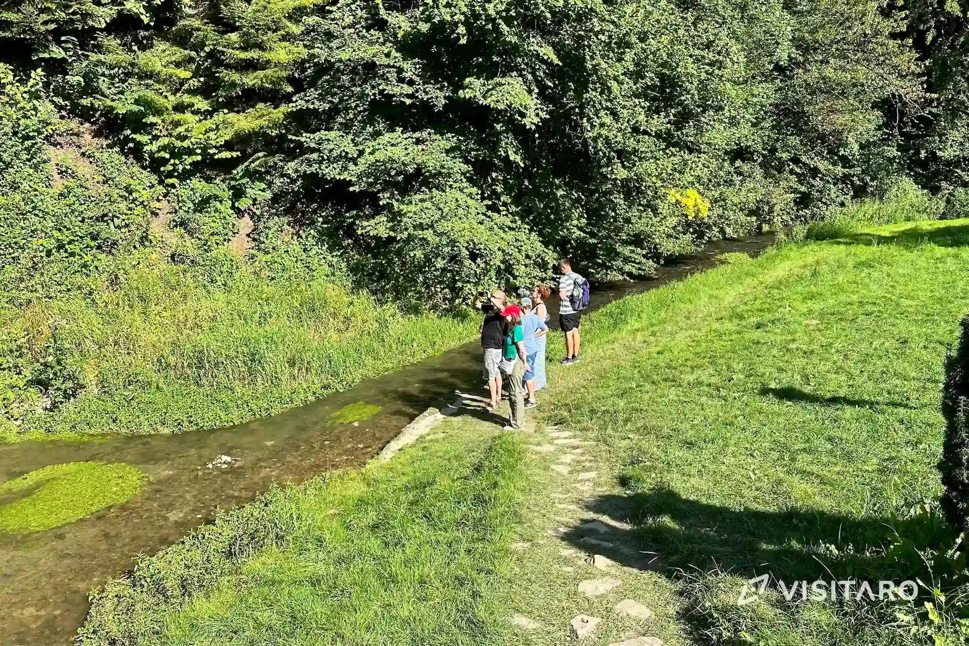 Ojców, Dolina Prądnika, Dolina Sąspowska. Najciekawsze zakątki Ojcowskiego Parku Narodowego strumień Prądnik, Dolina Prądnika, Ojcowski Park Narodowy