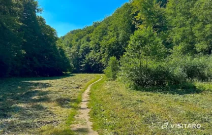 Dolina Sąspowska, Ojcowski Park Narodowy