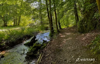 Dolina Sąspowska, potok Sąspówka, Ojcowski Park Narodowy