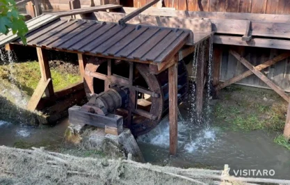 Boroniówka, koło wodne, Ojcowski Park Narodowy