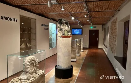 Ekspozycja przyrodnicza OPN skamieliny, Ojcowski Park Narodowy