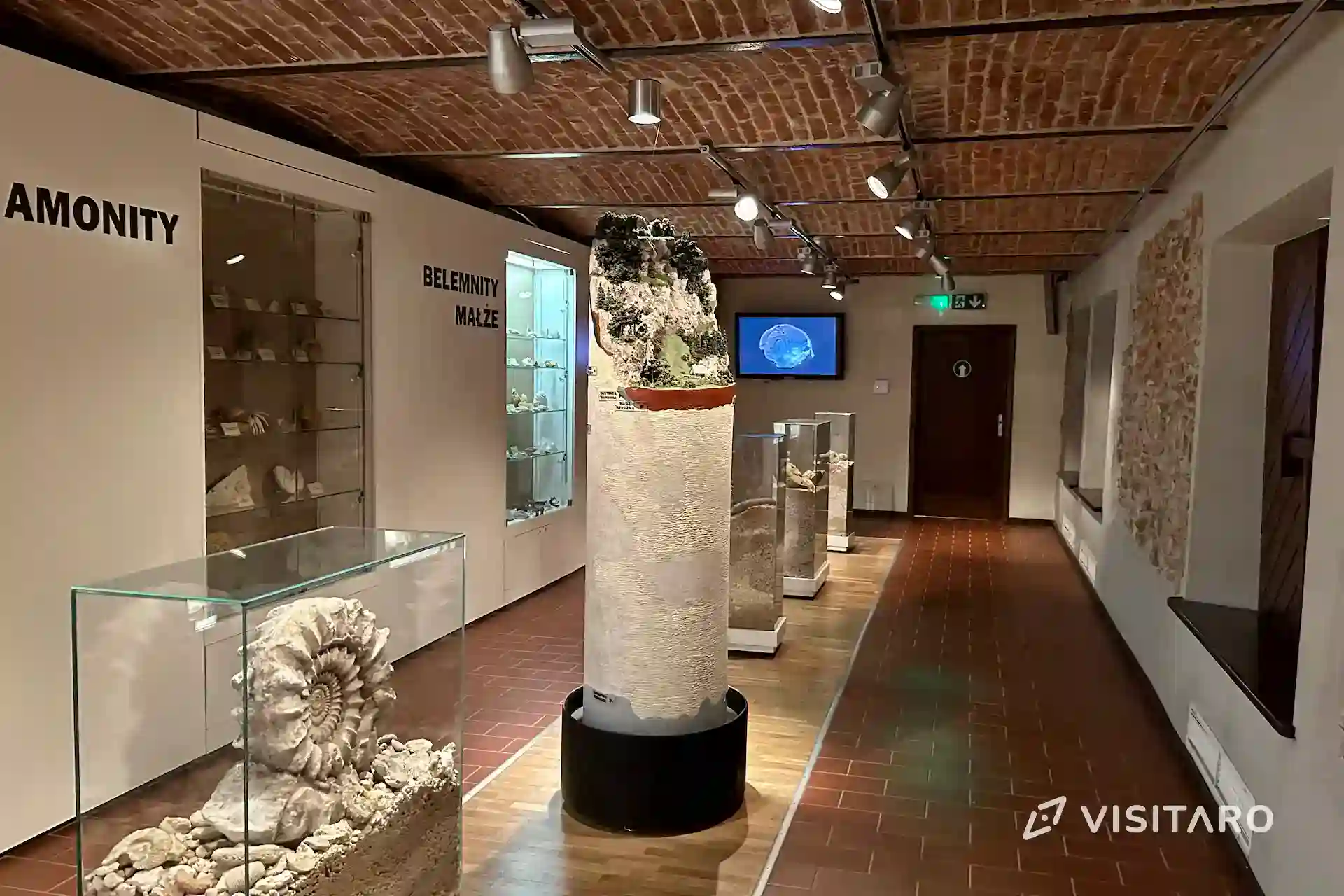 Ekspozycja przyrodnicza OPN. Wszystko o parku w fascynującej pigułce Ekspozycja przyrodnicza OPN skamieliny