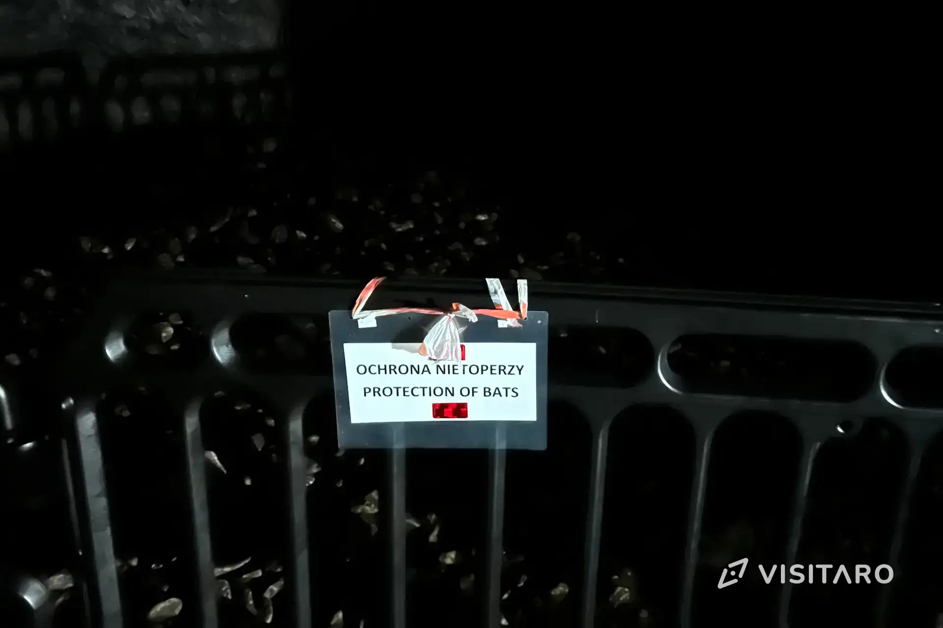 Jaskinia Ciemna. Podziemny dom neandertalczyków i nietoperzy Jaskinia Ciemna strefa ochrony nietoperzy