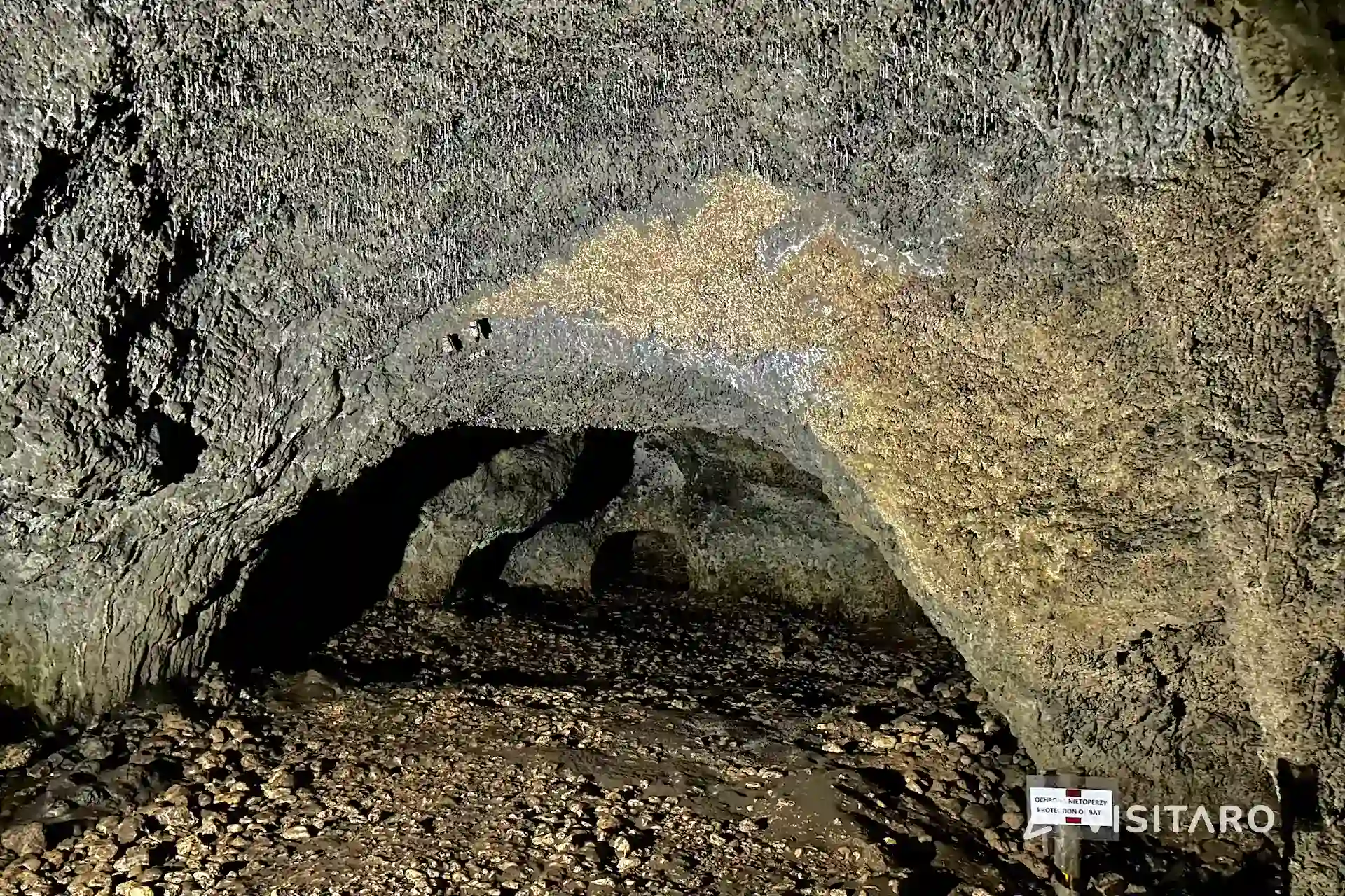 Jaskinia Ciemna. Podziemny dom neandertalczyków i nietoperzy Jaskinia Ciemna formacje naciekowe