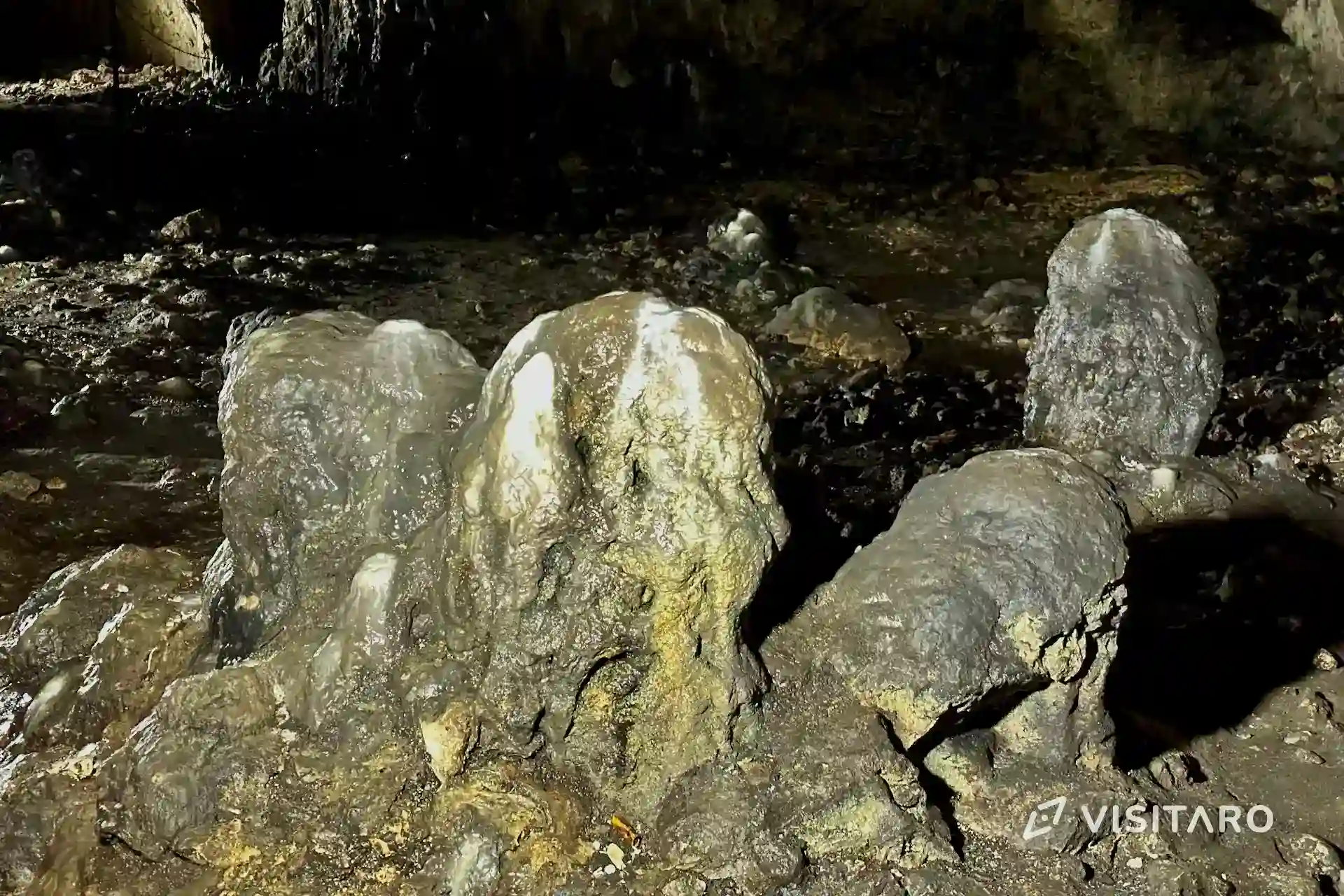 Jaskinia Ciemna. Podziemny dom neandertalczyków i nietoperzy Jaskinia Ciemna formacje naciekowe