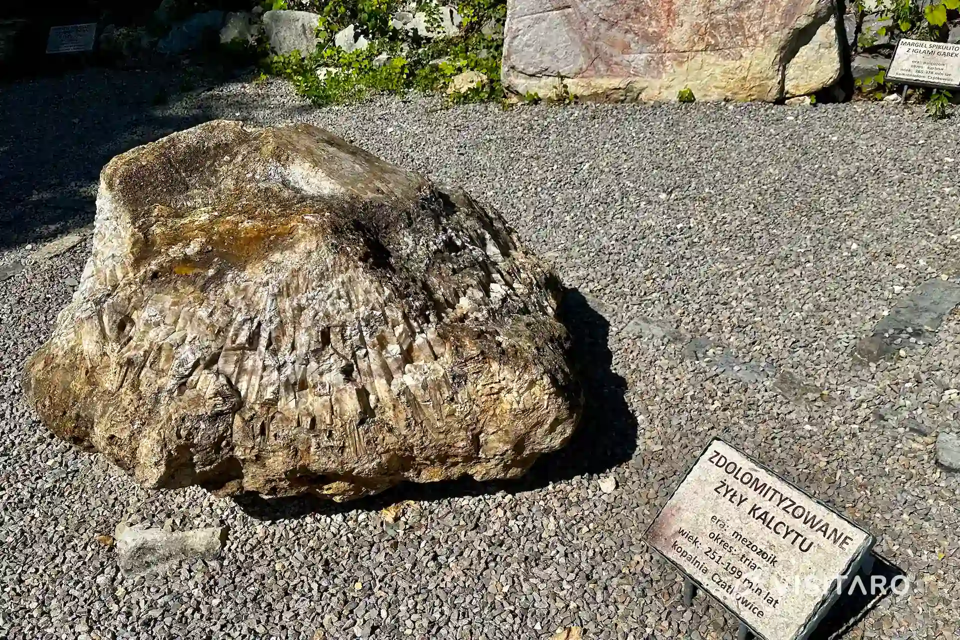 Jaskinia Nietoperzowa. Najdłuższa jaskinia Jury Krakowsko-Częstochowskiej Jaskinia Nietoperzowa, wystawa skamielin