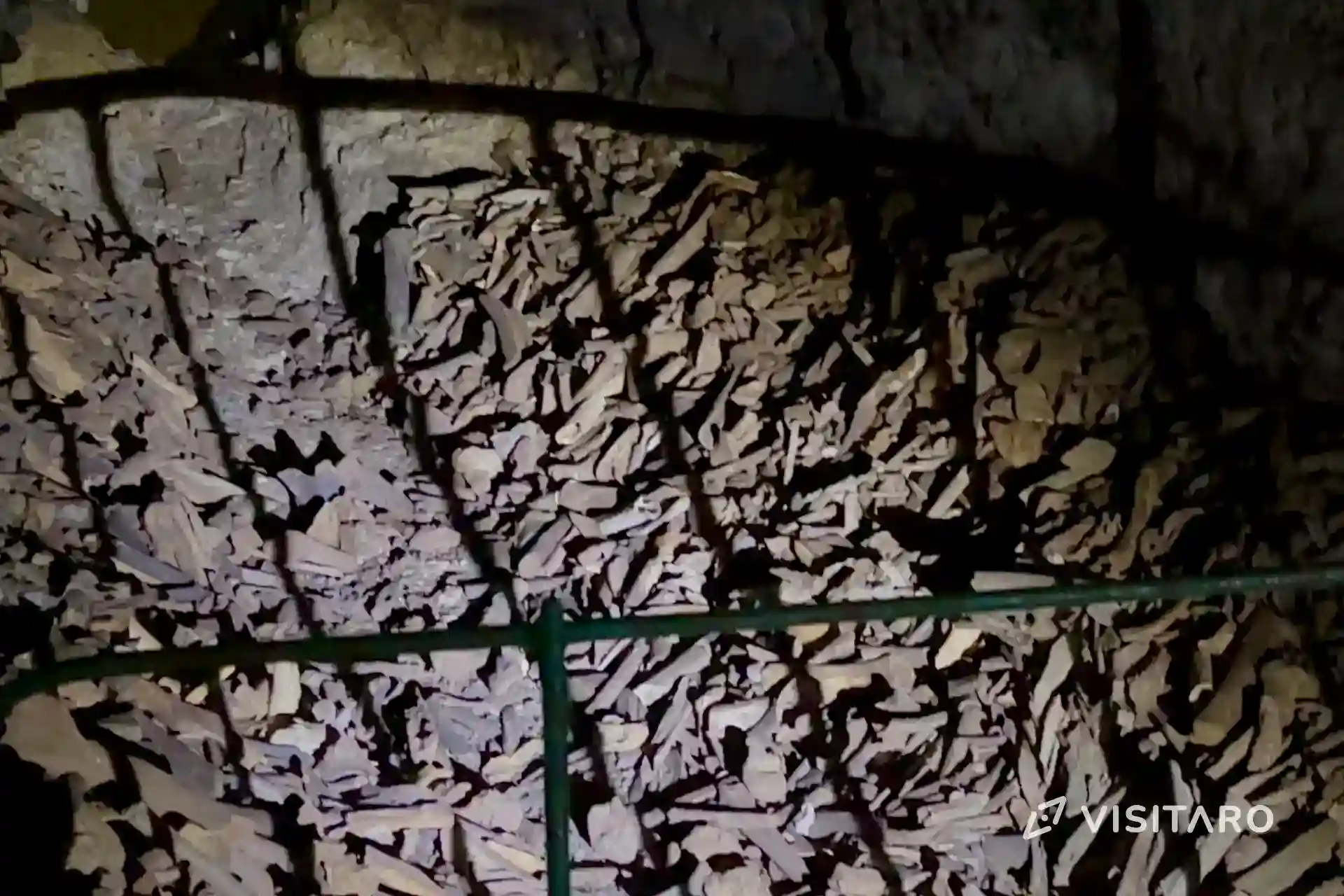 Jaskinia Nietoperzowa. Najdłuższa jaskinia Jury Krakowsko-Częstochowskiej Jaskinia Nietoperzowa, kości prehistorycznych zwierząt