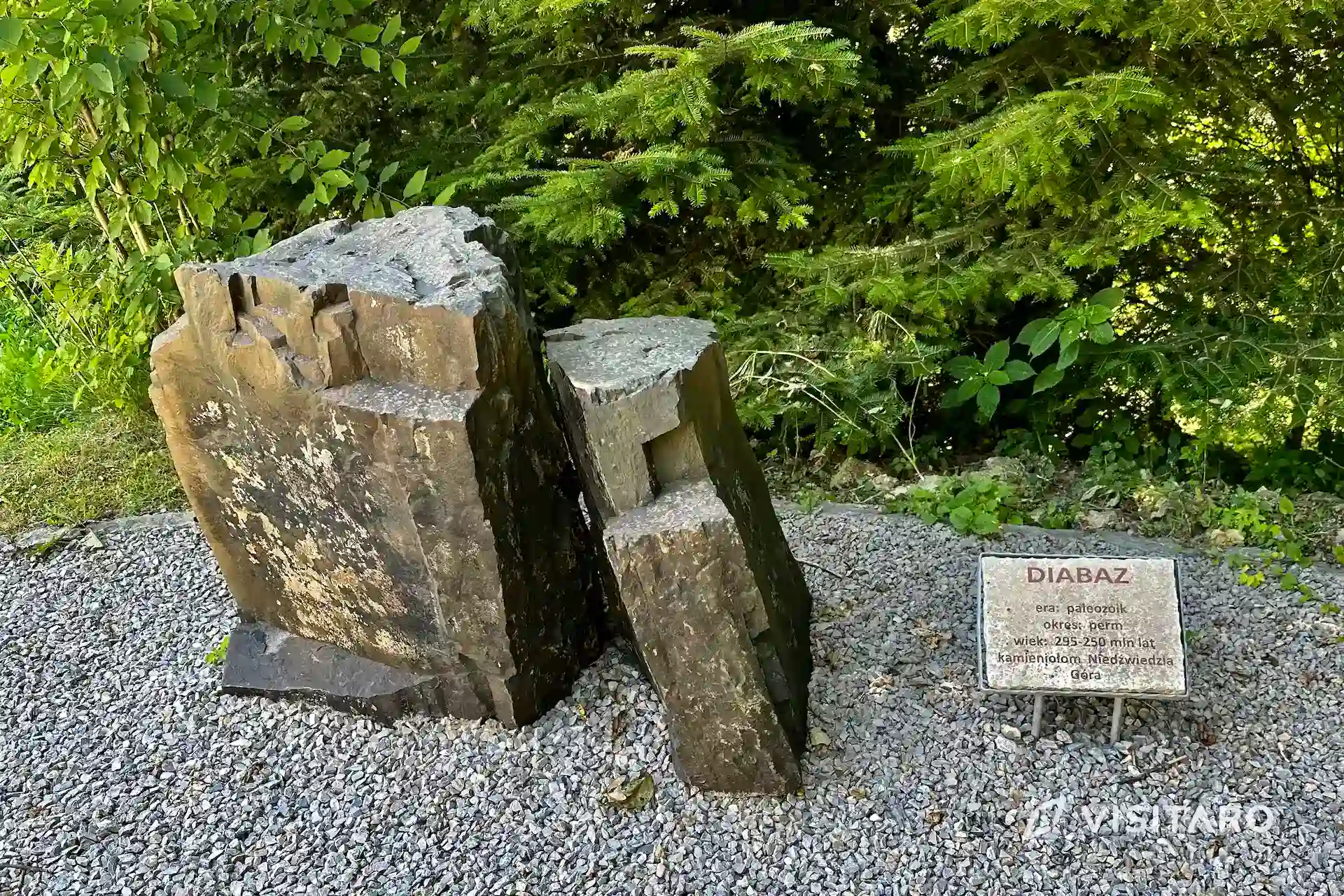 Jaskinia Nietoperzowa. Najdłuższa jaskinia Jury Krakowsko-Częstochowskiej Jaskinia Nietoperzowa, wystawa skamielin