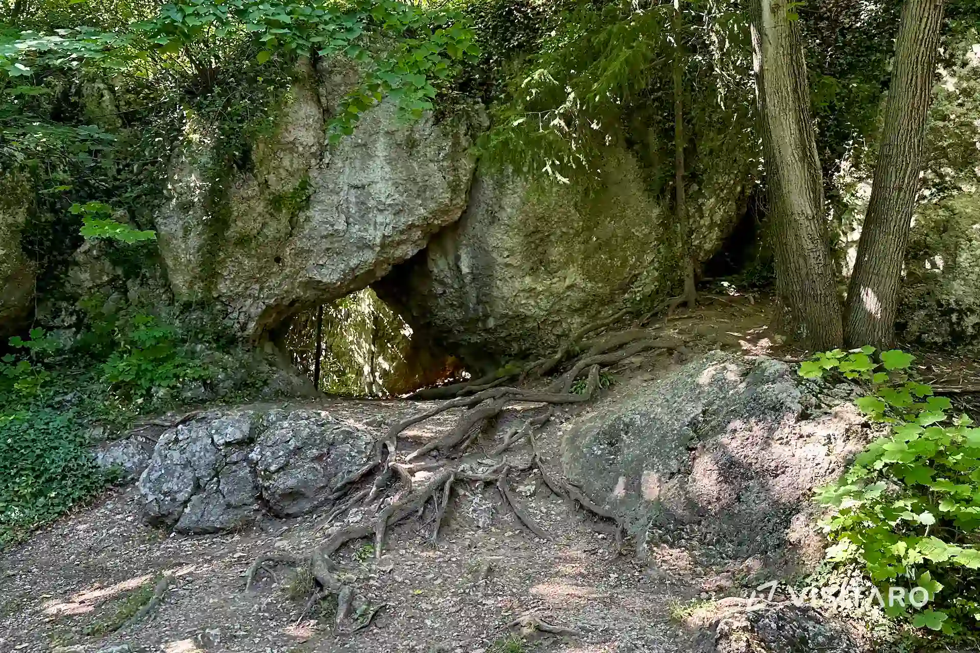 Jaskinia Nietoperzowa. Najdłuższa jaskinia Jury Krakowsko-Częstochowskiej Jaskinia Nietoperzowa