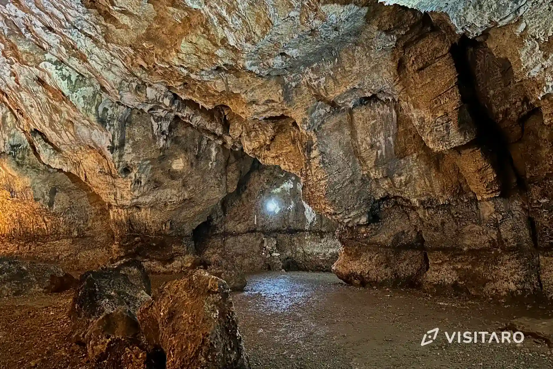 Jaskinia Nietoperzowa. Najdłuższa jaskinia Jury Krakowsko-Częstochowskiej Jaskinia Nietoperzowa, wnętrze jaskini