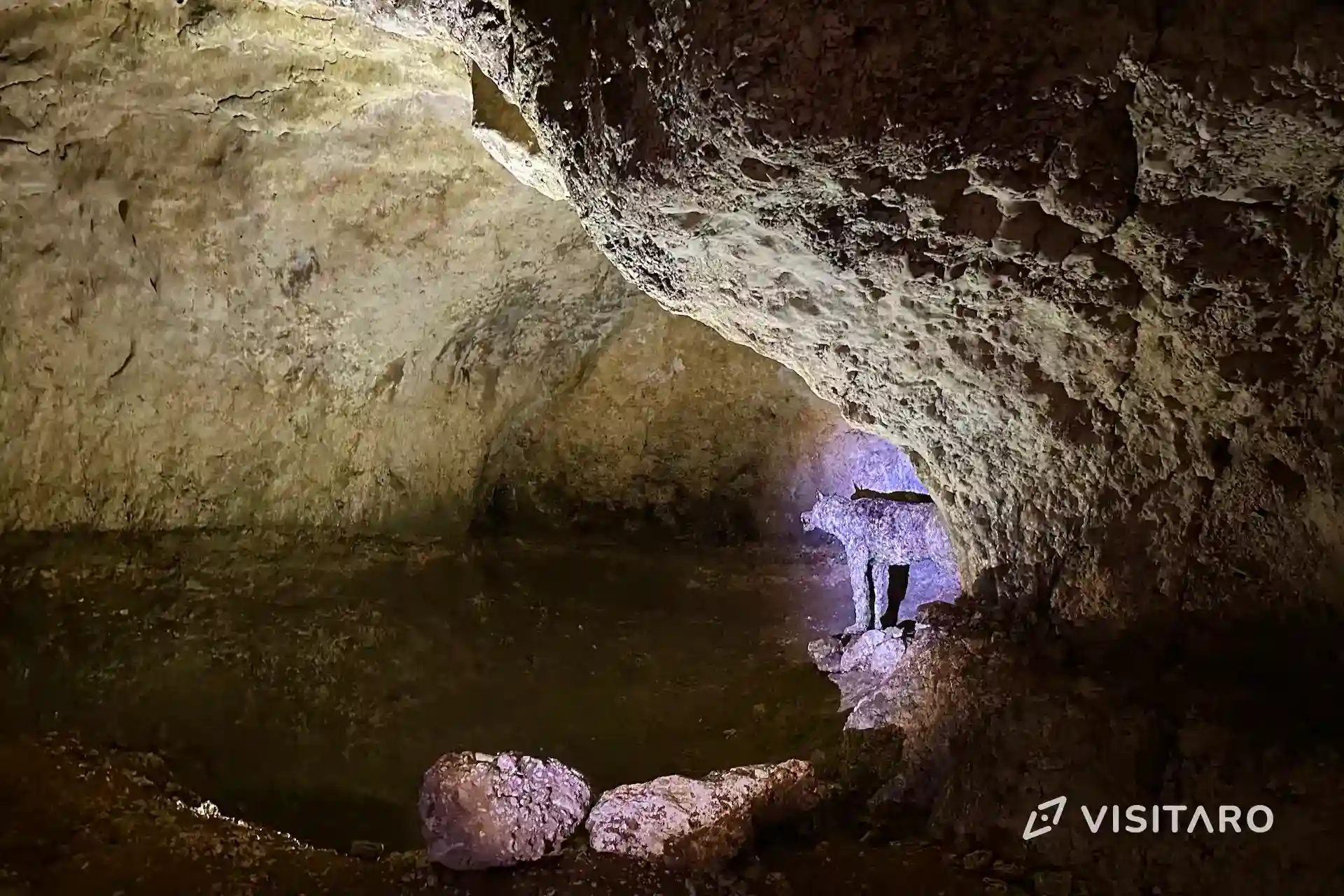 Jaskinia Nietoperzowa. Najdłuższa jaskinia Jury Krakowsko-Częstochowskiej Jaskinia Nietoperzowa, wnętrze jaskini