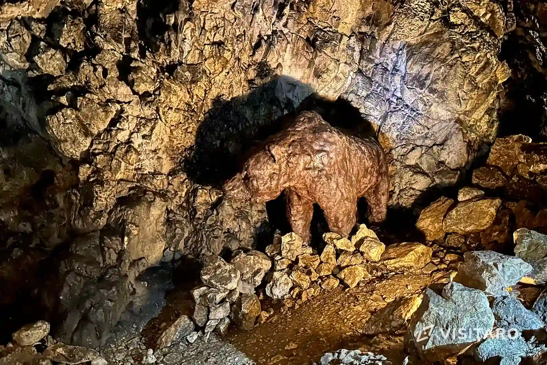 Jaskinia Wierzchowska. Najdłuższa podziemna trasa wśród wszystkich jaskiń w Polsce Jaskinia Wierzchowska, niedźwiedź jaskiniowy