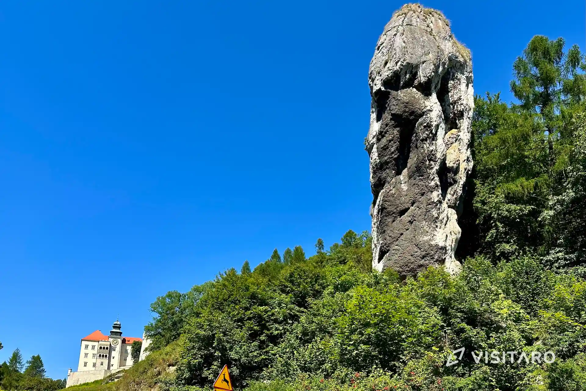 Maczuga Herkulesa, Brama Krakowska, Rękawica i inne niesamowite formacje skalne w Ojcowskim Parku Narodowym Maczuga Herkulesa