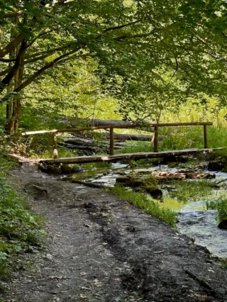 Ojcowski Park Narodowy. Najpiękniejsze spacery i szlaki turystyczne w OPN – najmniejszym polskim parku narodowym dolina sąspowska drewniany mostek nad strumieniem, Ojcowski Park Narodowy