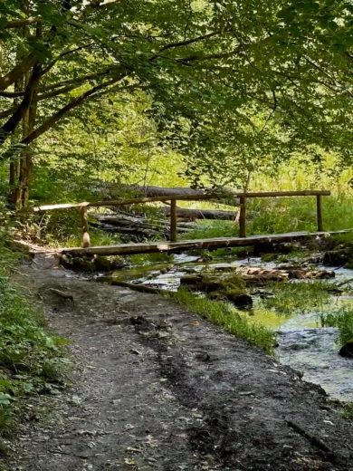 Ojcowski Park Narodowy. Najpiękniejsze spacery i szlaki turystyczne w OPN – najmniejszym polskim parku narodowym dolina sąspowska drewniany mostek nad strumieniem, Ojcowski Park Narodowy