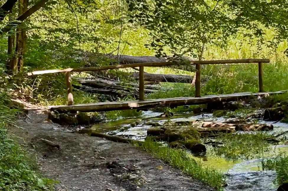 Ojcowski Park Narodowy. Najpiękniejsze spacery i szlaki turystyczne w OPN – najmniejszym polskim parku narodowym dolina sąspowska drewniany mostek nad strumieniem, Ojcowski Park Narodowy