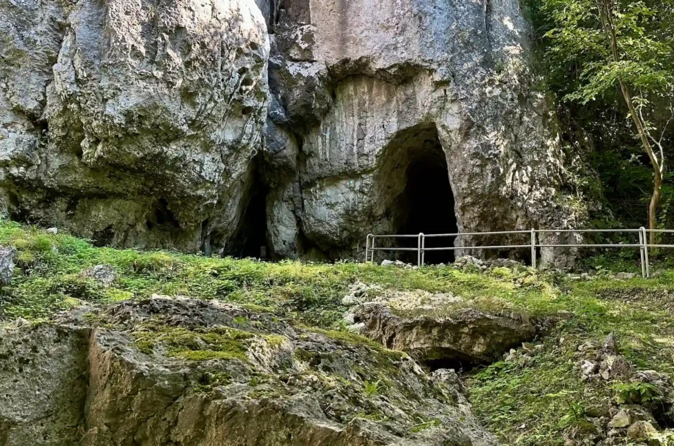 Jaskinia Wierzchowska. Najdłuższa podziemna trasa wśród wszystkich jaskiń w Polsce jaskinia wierzchowska wejście