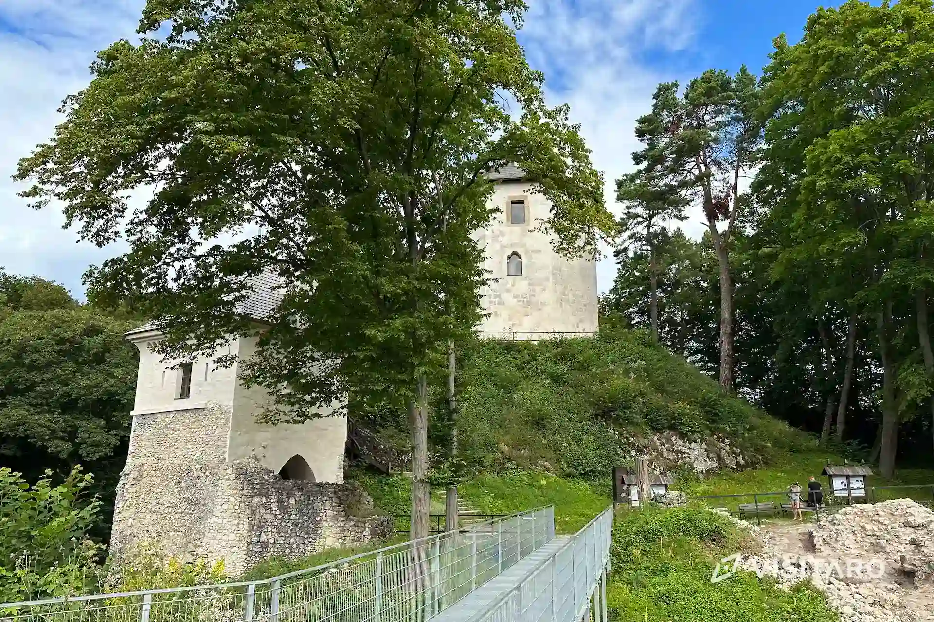 Zamek w Ojcowie. Ruiny jednego z najbardziej znanych zamków w Polsce zamek w Ojcowie